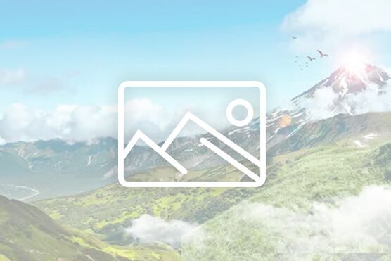 炎炎夏日送清涼，濃濃關懷沁人心 山東大正物業服務集團開展夏季“送清涼”活動